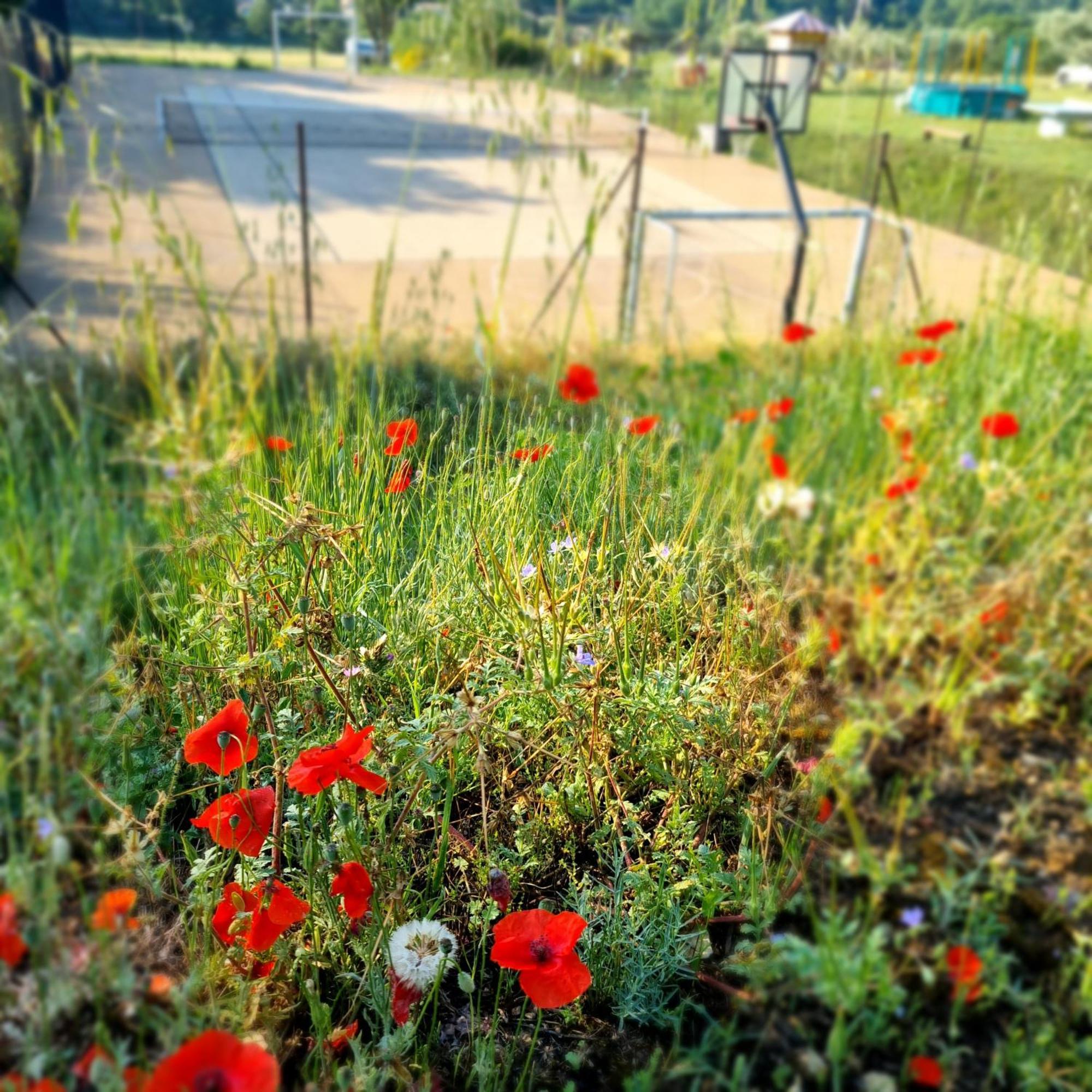 L'Oustaou Du Luberon Et Spa Villelaure Luaran gambar