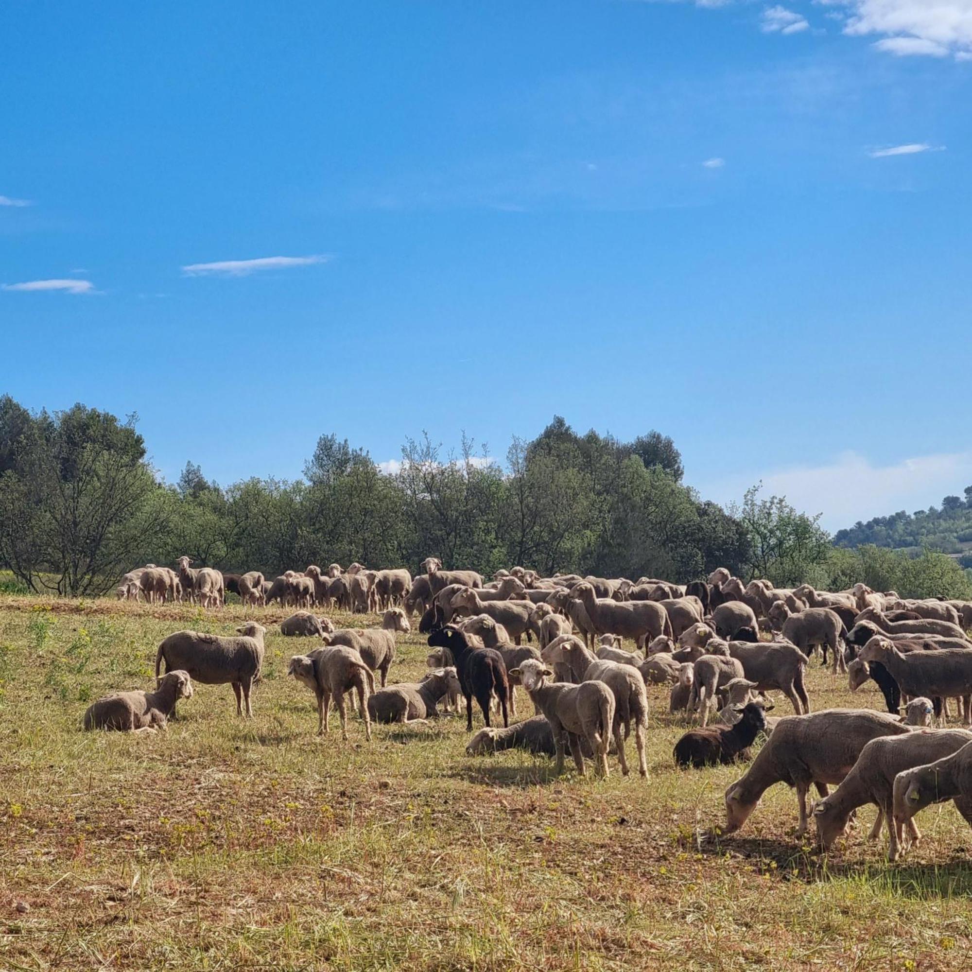 L'Oustaou Du Luberon Et Spa Villelaure Luaran gambar