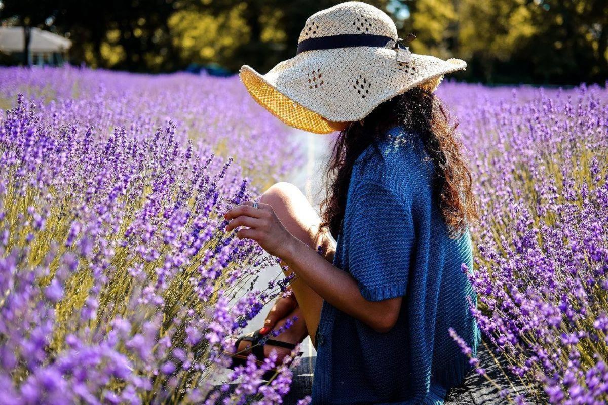 L'Oustaou Du Luberon Et Spa Villelaure Luaran gambar