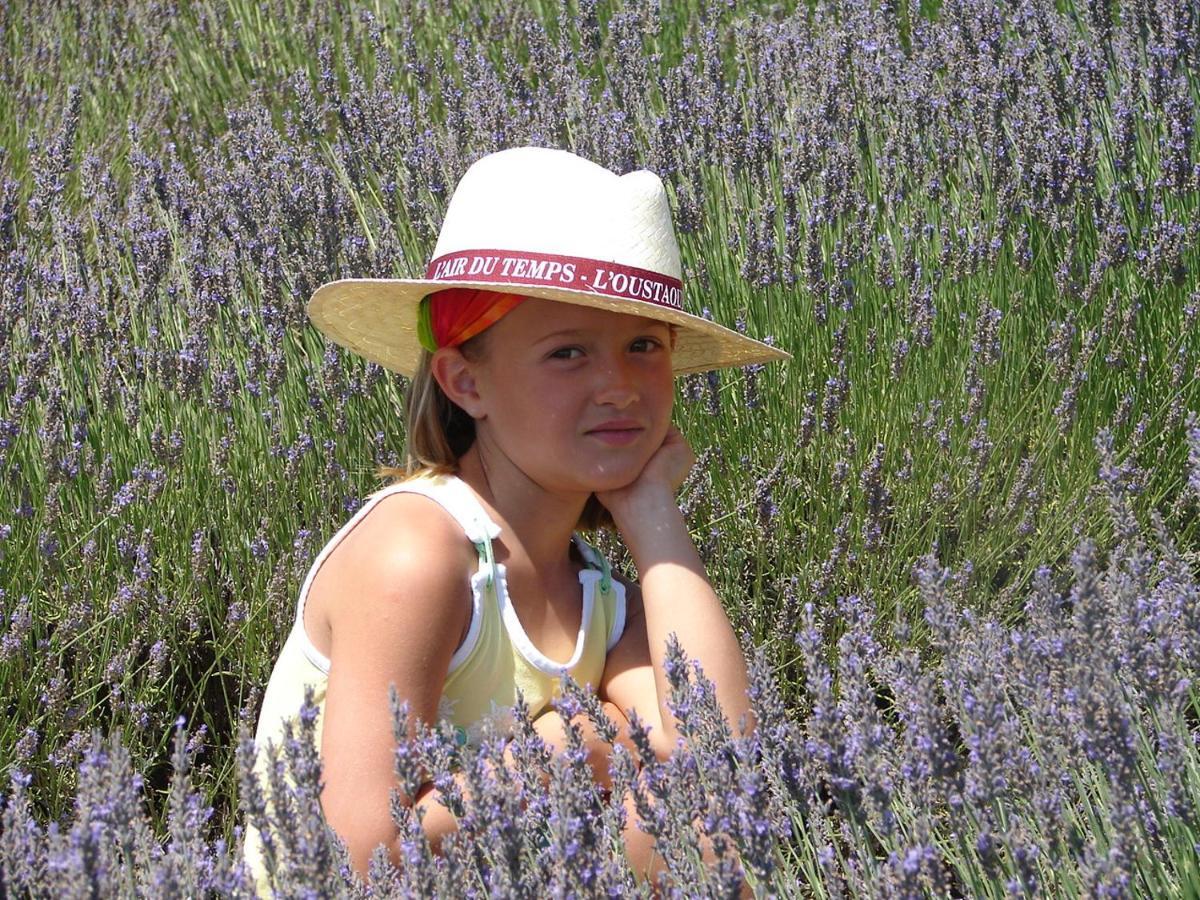 L'Oustaou Du Luberon Et Spa Villelaure Luaran gambar