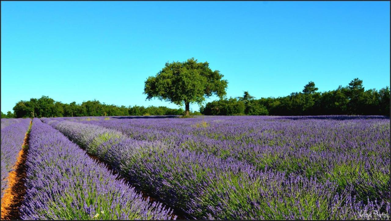 L'Oustaou Du Luberon Et Spa Villelaure Luaran gambar